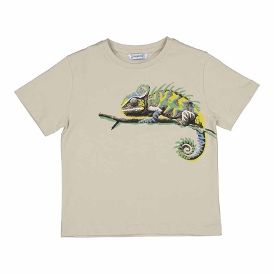 Ref: 3045 Cor: 90 T-Shirt