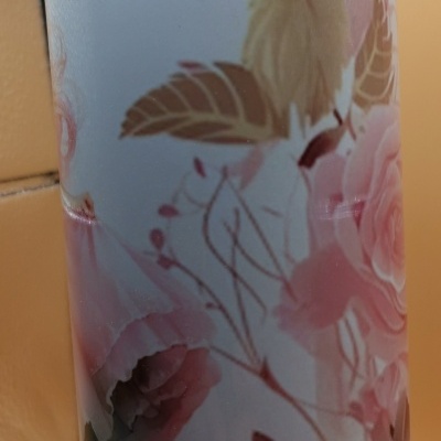 Tumbler / copo térmico Princesa