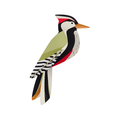 Passaro decorativos para parede