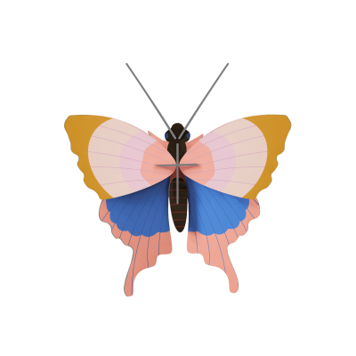 Borboletas decorativos para parede