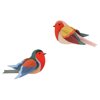 Passaros decorativos para parede