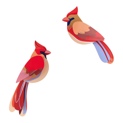 Passaros decorativos para parede