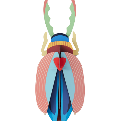 Besouro decorativos para parede