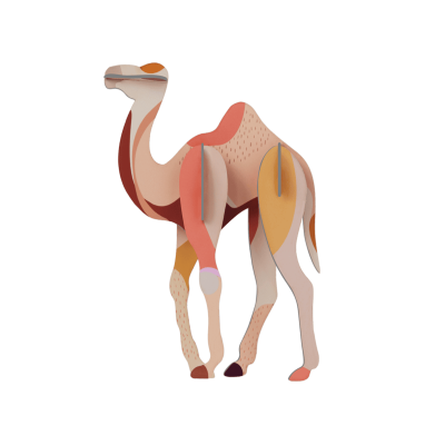 Mini Camelo decorativa para parede