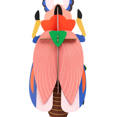 Besouro decorativo para parede