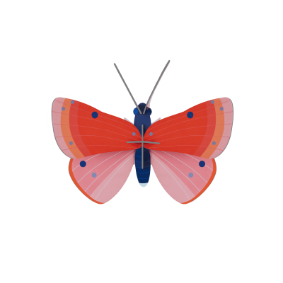 Borboletas decorativos para parede