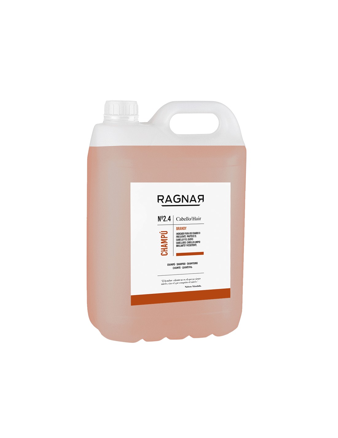 RAGNAR SHAMPOO FRAGÂNCIA BRANDY 2.4 5000ML  09031
