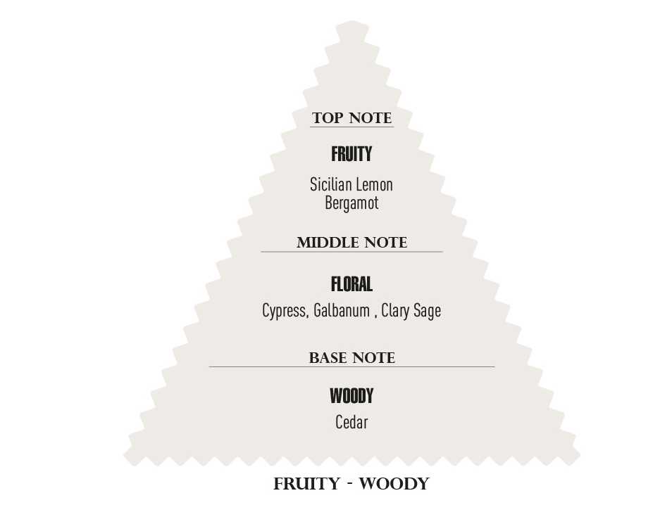 Gráfico pirâmide com notas de fragrância: topo frutado, meio floral, base amadeirada.