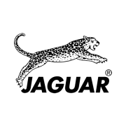 JAGUAR ESCOVA PARA MOLDAR S2  88002