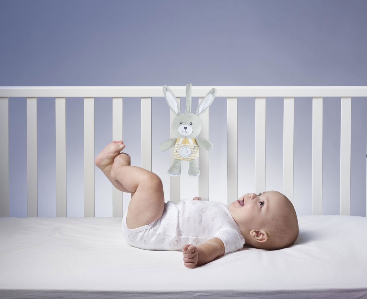 Coelhinho doces melodias