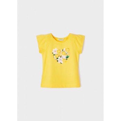 T´shirt aplicações