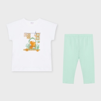 Conjunto Legging verde