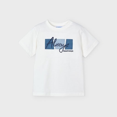 Camiseta aplicações