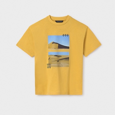 Camiseta m/c "desert"