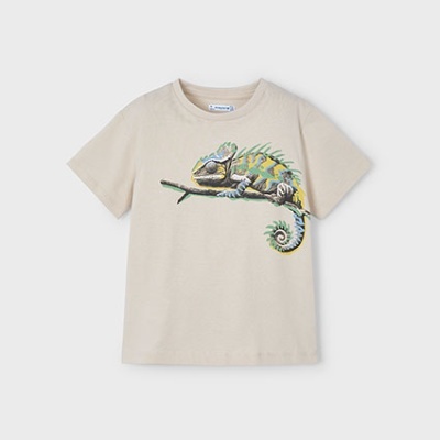 Camiseta m/c chameleon