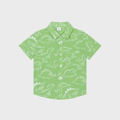 Camisa Manga Curta verde Dinossauros