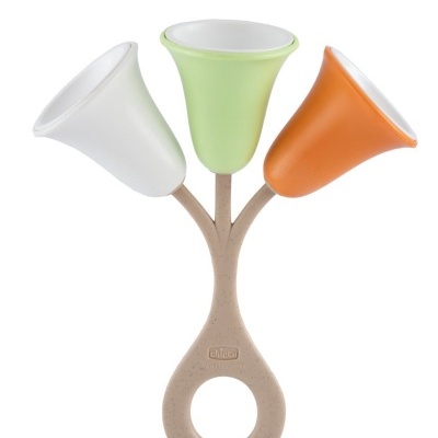 Tulipa agita e brinca