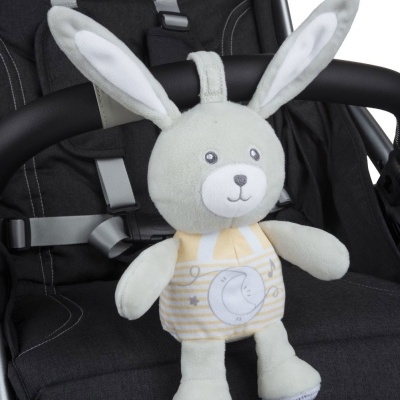 Coelhinho doces melodias