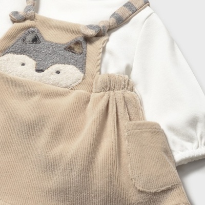 Saia ponto baonbazina