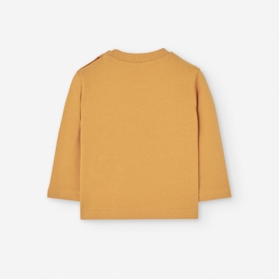 Camisola amarela carros