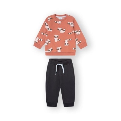 Conjunto infantil com sweat e calças