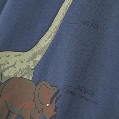 Detalhe de tecido azul com estampa de dinossauros e textos explicativos