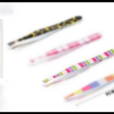 Pin&#x00E7;a&#x20;colorida