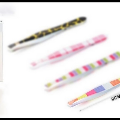 Pin&#x00E7;a&#x20;colorida