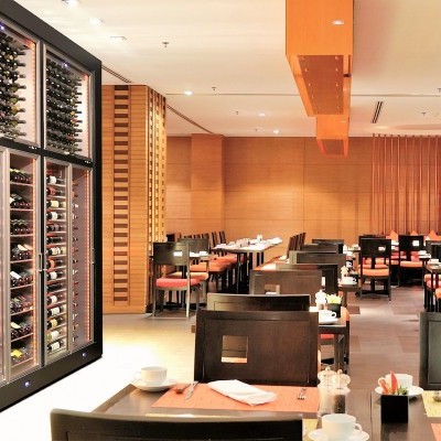 Expositor refrigerador Parete Vino