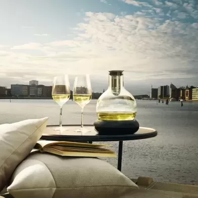 Cool Wine Decanter Carafe by EvaSolo