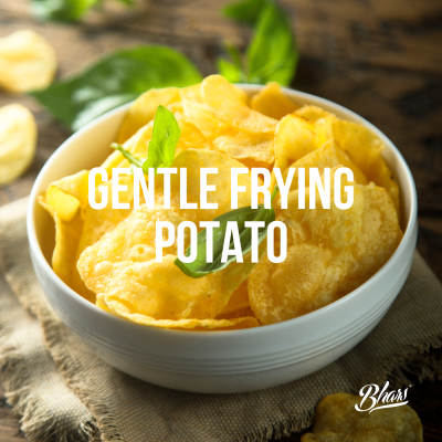 Batata Frita Artesanal Mr. Salt (150g)