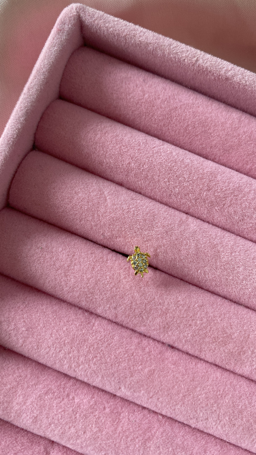 Piercing&#x20;tartaruga