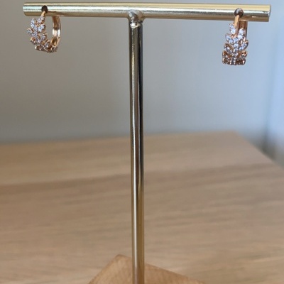 Brincos&#x20;leaf&#x20;details