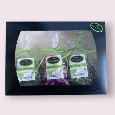 Caixa Preta com 3 infusões