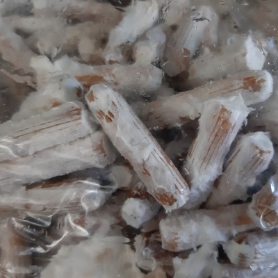 Micélio em cavilhas