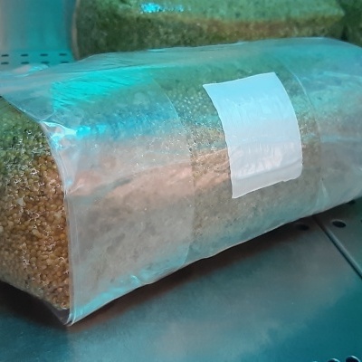 Grão suplementado esterilizado