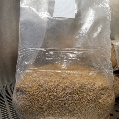 Grão suplementado esterilizado