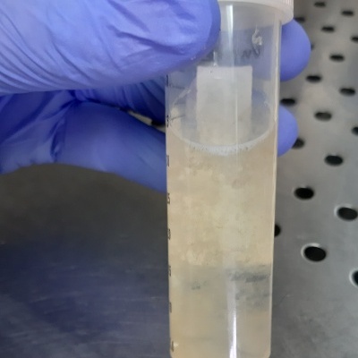 Culturas puras líquidas