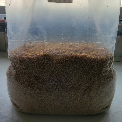 Grão suplementado esterilizado