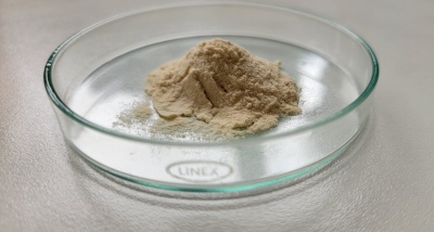 Meio MEA (Extrato de Malte Agar)