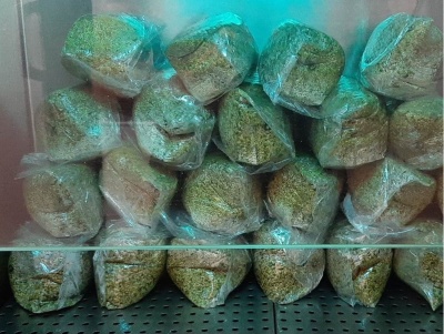 Substratos Esterilizados