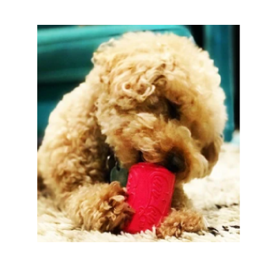 Sodapup Puppy Can Toy Large Pink