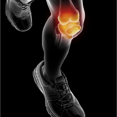 Epitact Sport Joelheira XL