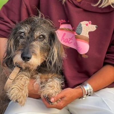 Sweat&#x20;&quot;My&#x20;sweat&#x20;dog&quot;