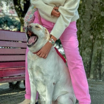 Cal&#x00E7;a&#x20;bubble