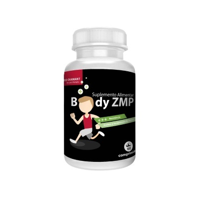 Body Zmp