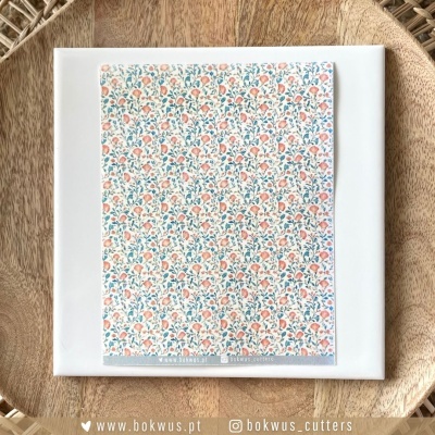 Papel tranfer - Algas e Conchas