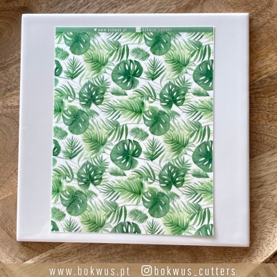 Papel tranfer - Folhas tropicais II