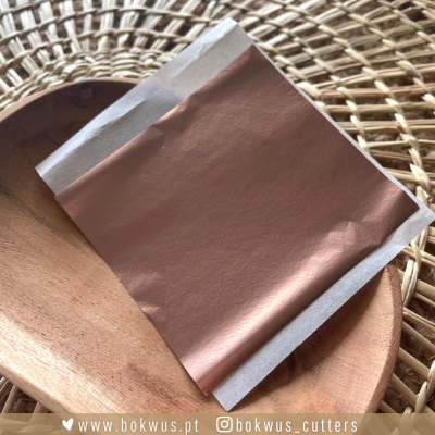 Pack 5 folhas metálicas - SALMÃO