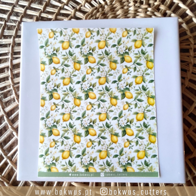 Papel tranfer - Limoeiro